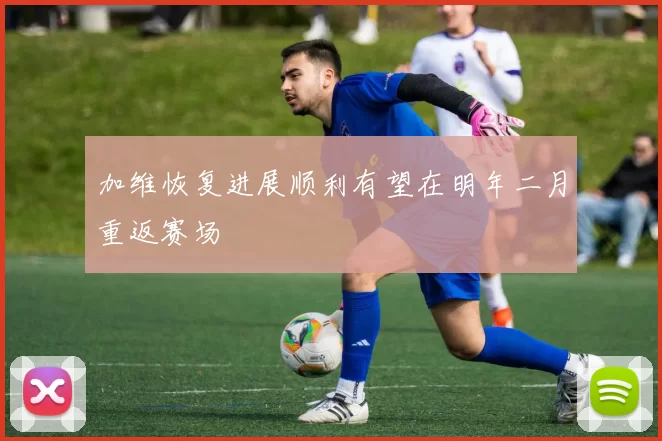 加维恢复进展顺利有望在明年二月重返赛场
