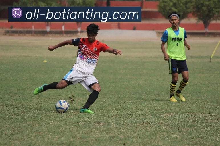 博天堂APP 封面图